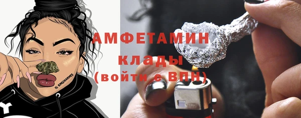 мет Алексин
