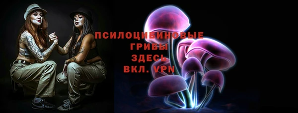 мет Алексин