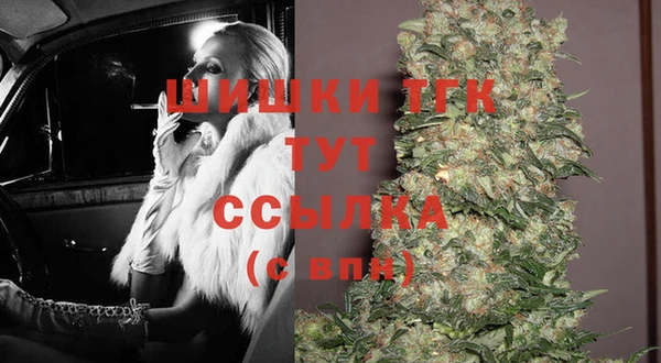 мет Алексин