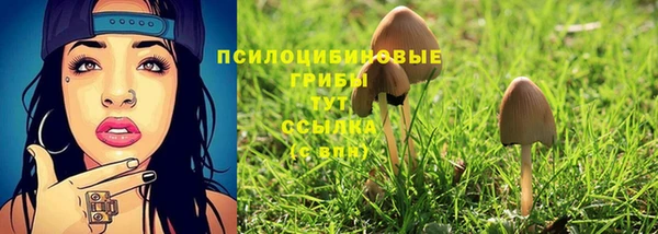 дурь Алексеевка