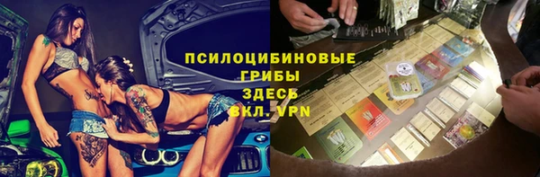 мет Алексин