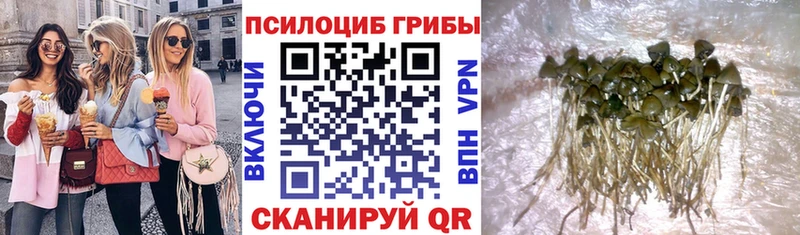 Псилоцибиновые грибы прущие грибы  блэк спрут вход  Железногорск 